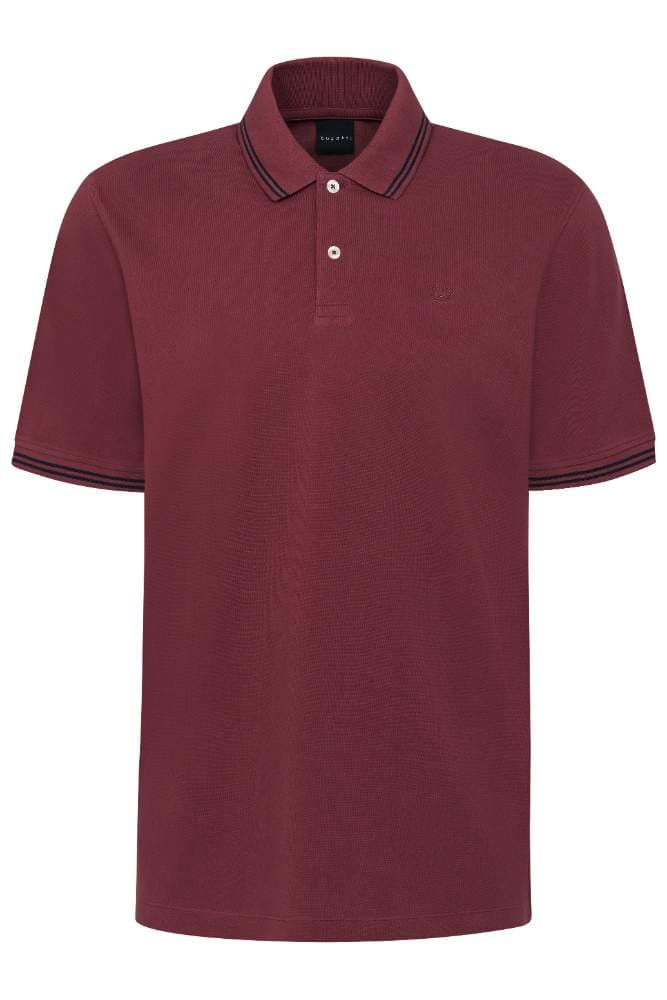 Men`s polo image 3