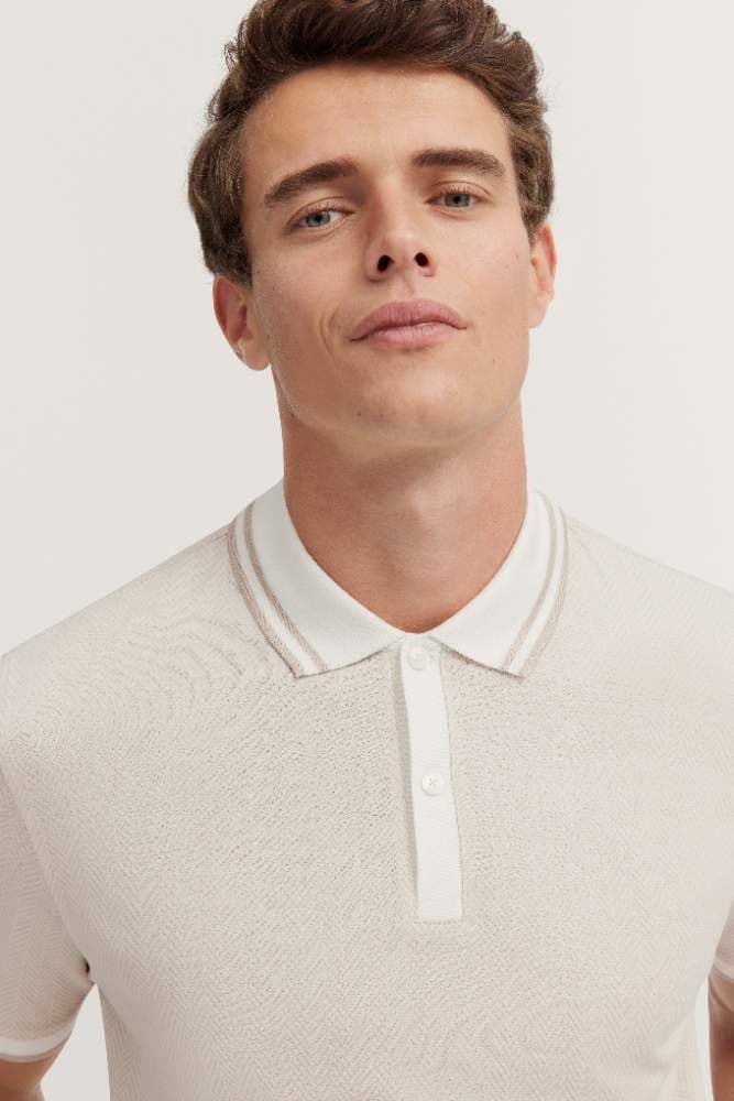 Men`s Polo image 2